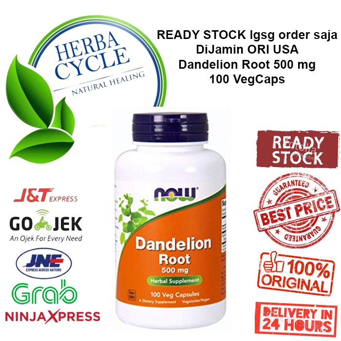 Now Food Dandelion Root 500 mg 100 Veg Cap Now Dandelion Root Ori USA