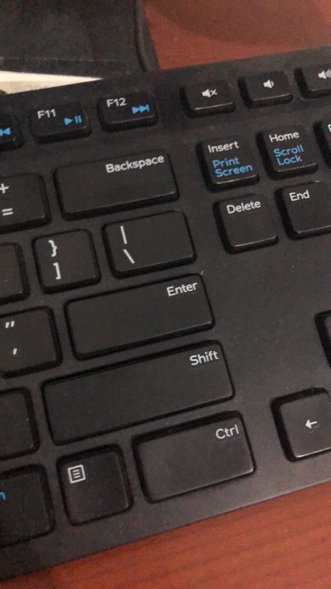 Anggrek Dendrobium Seedling Hybrid Thailand