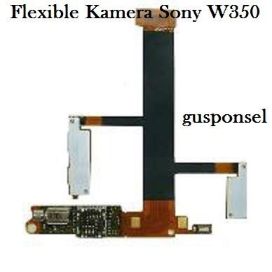 Flexible Kamera Sony W350