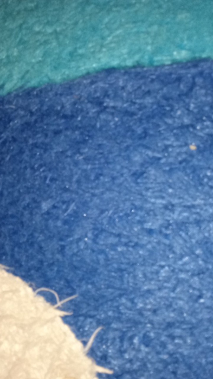 Piring Ikan,piring Oval Golden Sunkist Pi-8006 (kecil) & Pi-8007(besar)