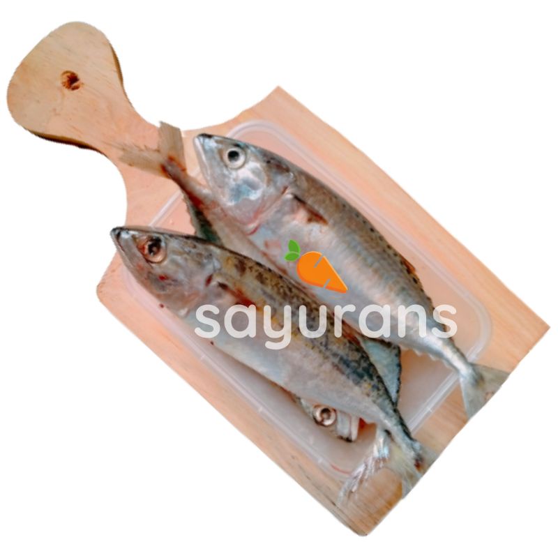 

SAYURANS Ikan Kembung -+ 1KG