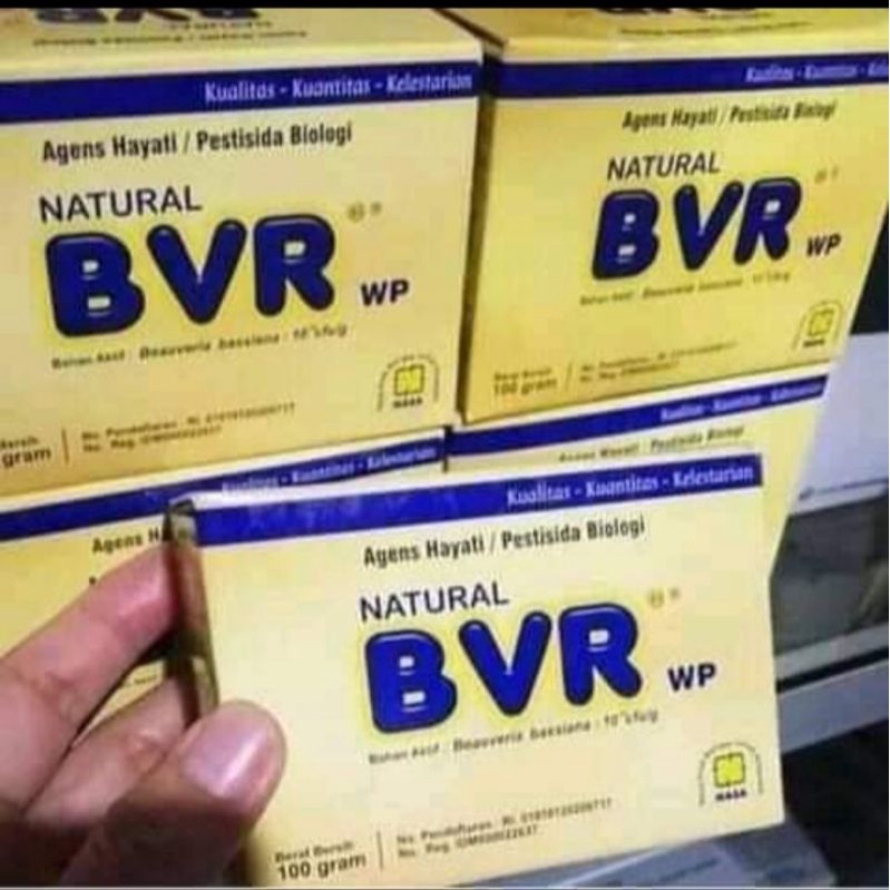 pestisida organik