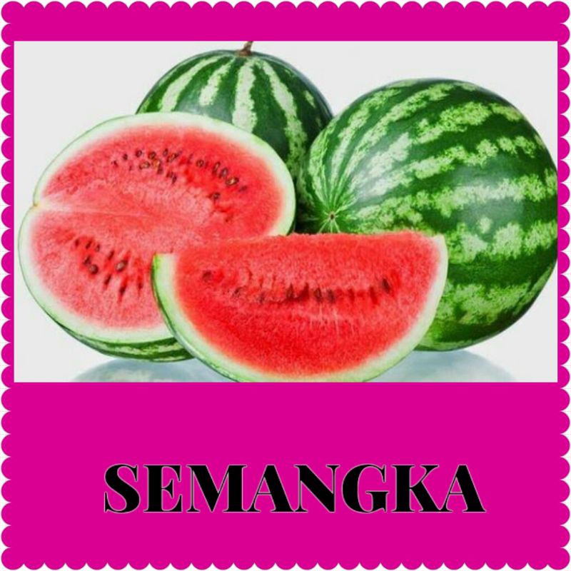 bibit benih semangka/bibit semangka/benih semangka