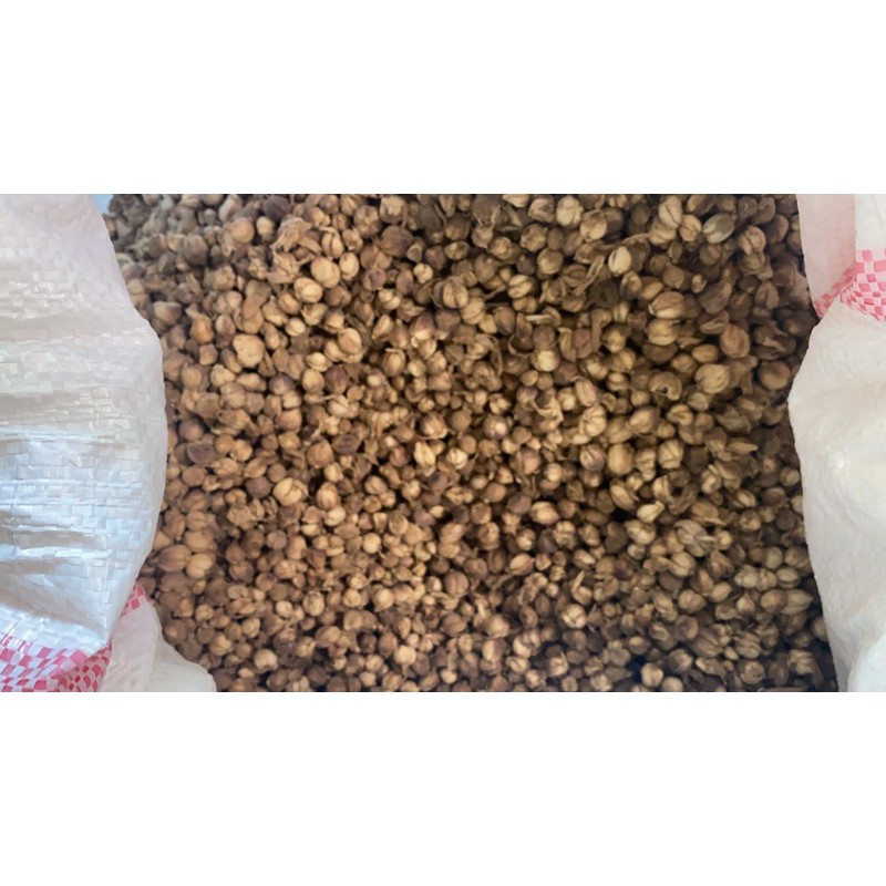 Kapulaga jawa 100gr / cardamon 100 gram