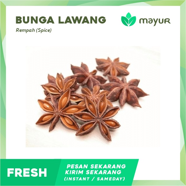 

Bunga Lawang / Pekak / Star Anise (10 gram)