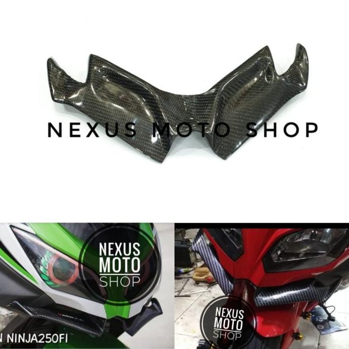 winglet ninja 250Fi winglet karbon ninja 250Fi winglet karbon ninja Fi nexusm07
