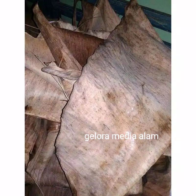 

daun pisang kering