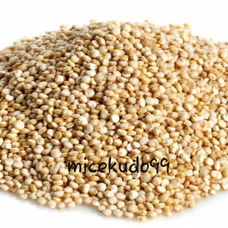 

ORGANIC WHITE QUINOA 1000 GRAM