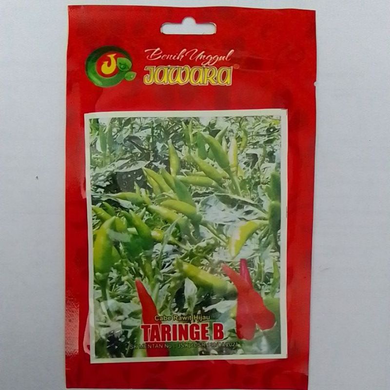 benih/bibit cabe JAWARA cabe rawit hijau Taringe B