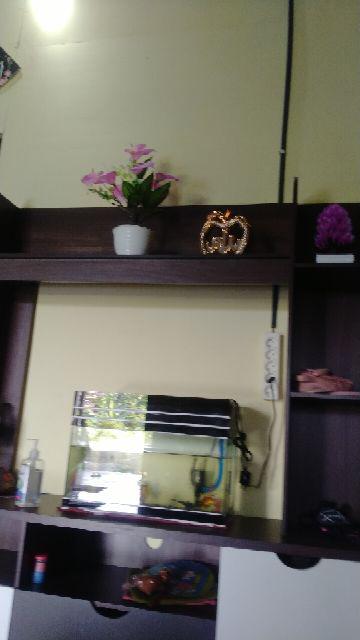 Pajangan Keramik Allah & Muhammad Diamond Gold Apel 2pc T:21cm Bb767