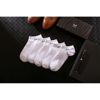  Kaos  Kaki Pria Model  Korea Invisible Motif Kucing Bahan 