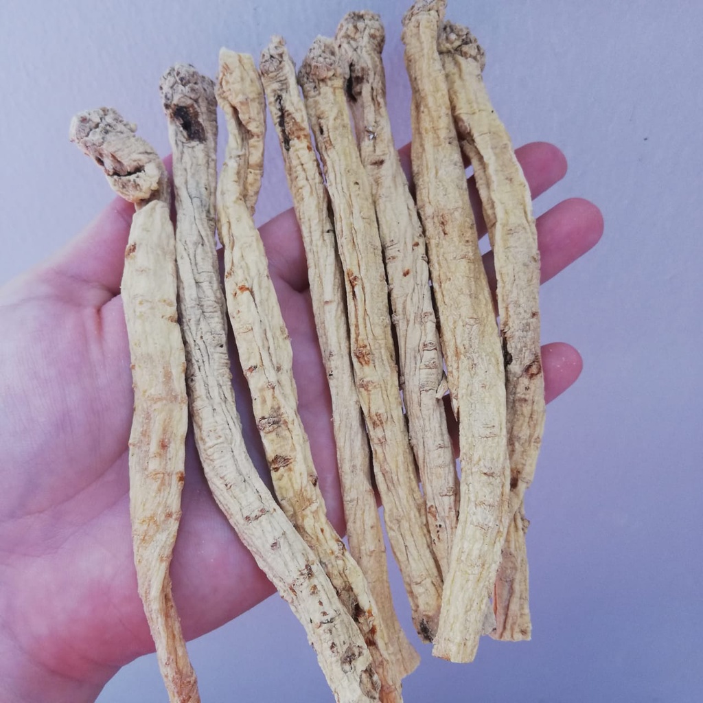 

Dong Sim / Dong Shen / Tong Shen / Dongsim / Tangsen / Tang Sen / Radix Codonopsis