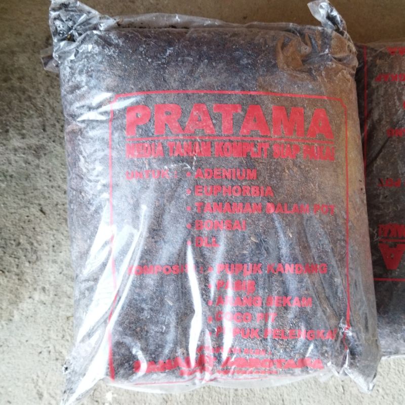 Media tanam kaktus sukulen 1 kg premium