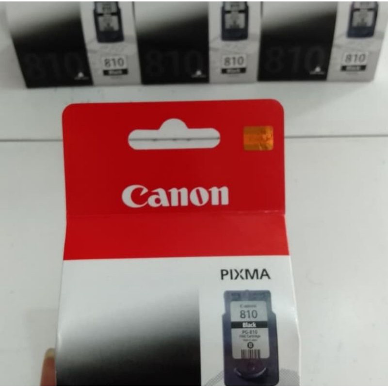 tinta cartridge canon 810 black