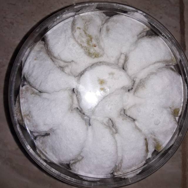 

Putri salju pandan