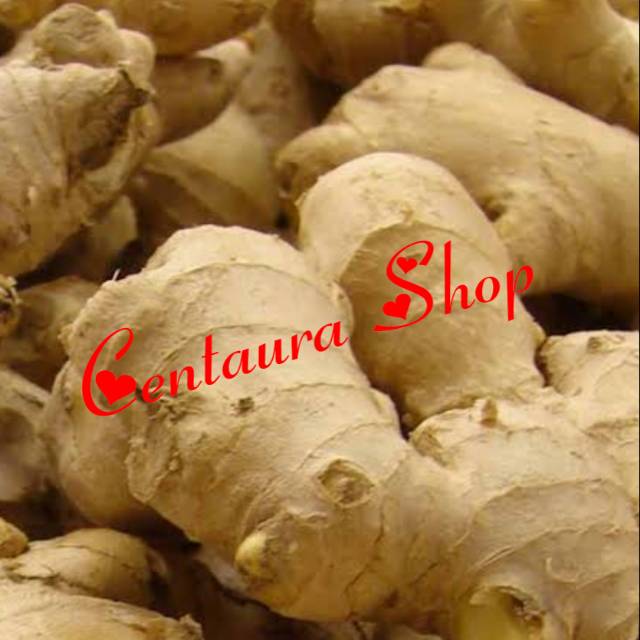 

Jahe Gajah Kwalitas Super Unggul 250gr
