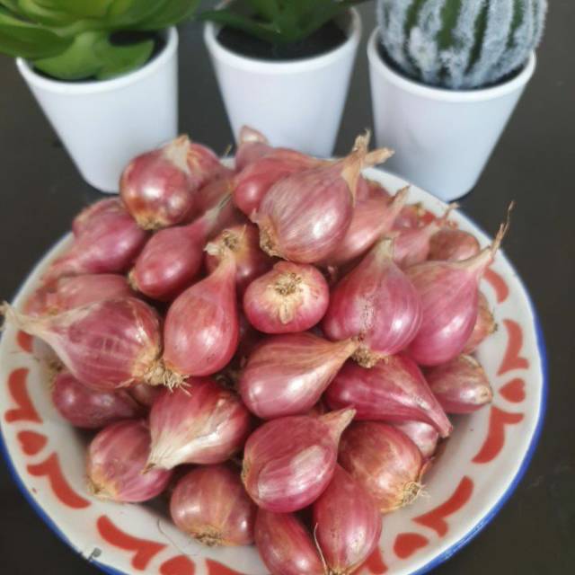 

Bawang Merah sayur