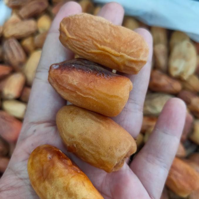 

Kurma Muda Kering 500Gram Penyubur Kandungan/Kurmud Promil Terbaik Arkanamarketht