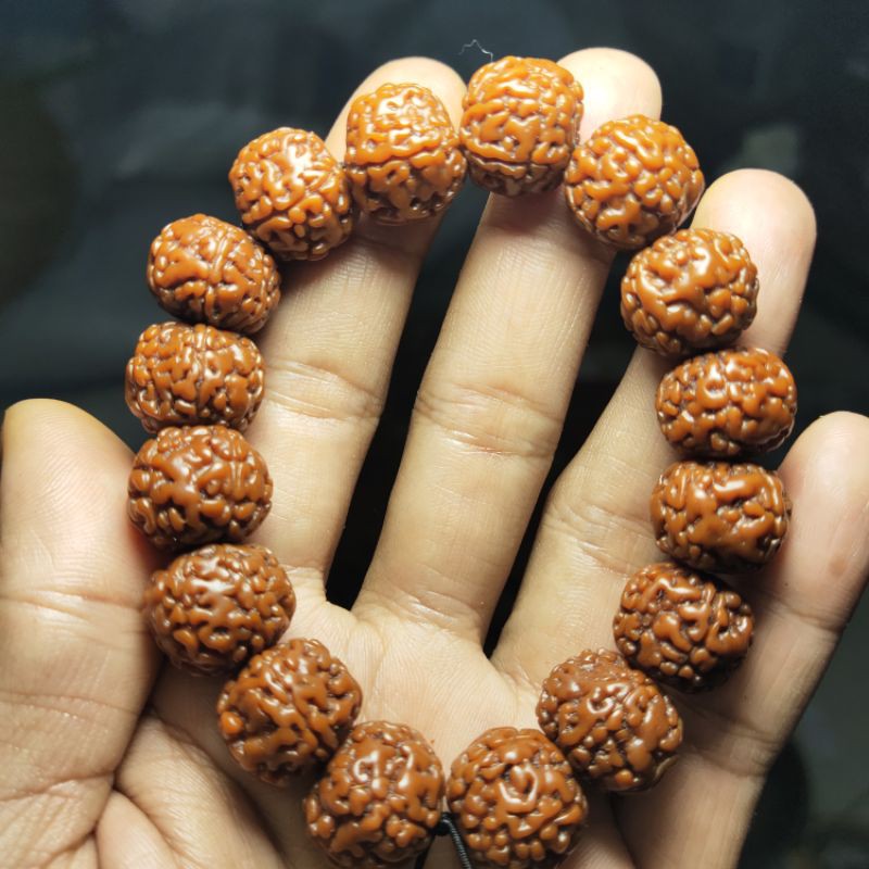 rudraksha jenitri original