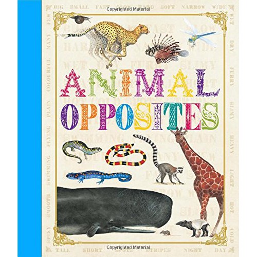 First Concept Animal Opposites / Animal 123 / Animal Colours Child Picture Book