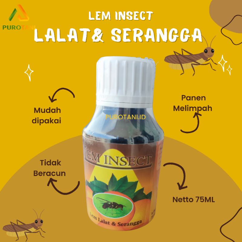 Lem lalat buah serangga LEM INSECT 75 ML