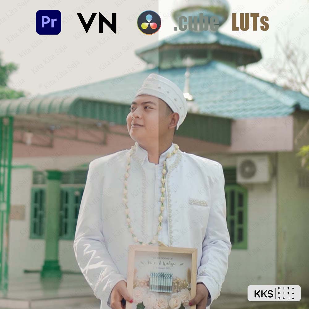 (BISA VN) Wedding Rumahan Indonesia LUTs LUT untuk VN Premiere Pro Davinci Resolve | Android iOS PC