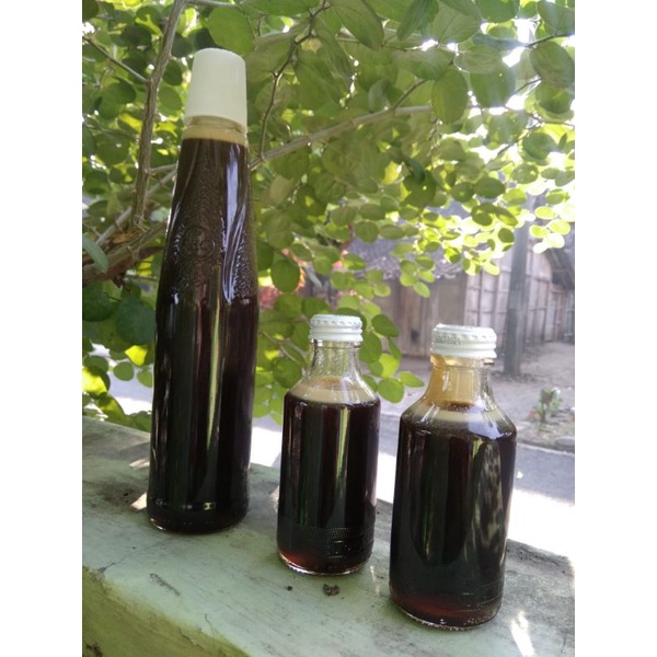 

Madu Klanceng Hitam Liar