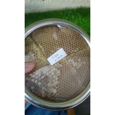 

Madu sarang yaman super jaminan asli