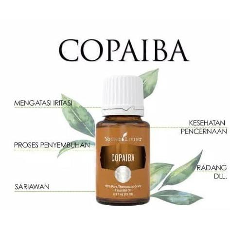 Copaiba 15Ml Young Living Copaiba 15Ml Dragonshop10