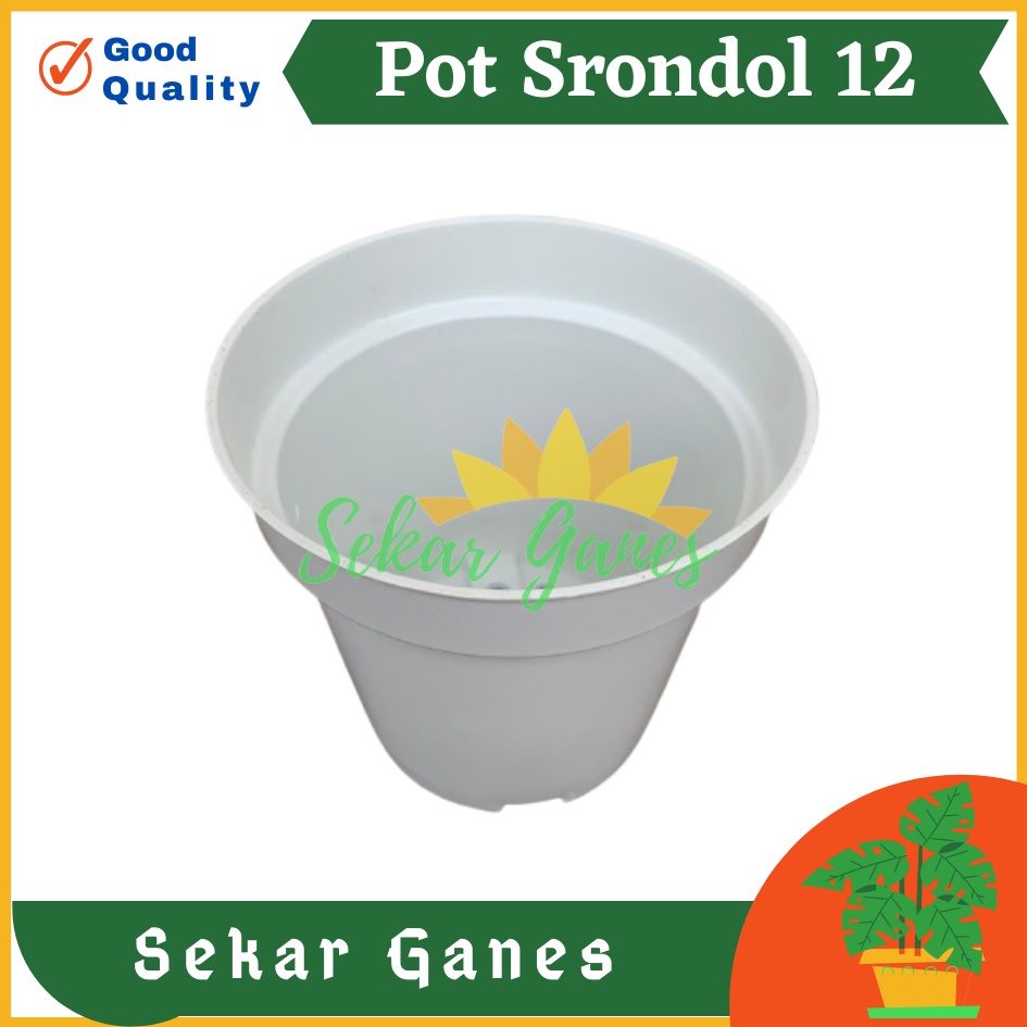 Pot Tinggi Srondol 12 PUTIH - Pot Tinggi Usa Effiel 18 20 25 Lusinan Pot Tinggi Tirus 15 18 20 30 35 40 50 Cm Paket murah isi 1 lusin pot bunga plastik pot tanaman Pot Bibit Besar Mini Kecil Pot Srondol Pot Bunga Termurah Bahan Bagus