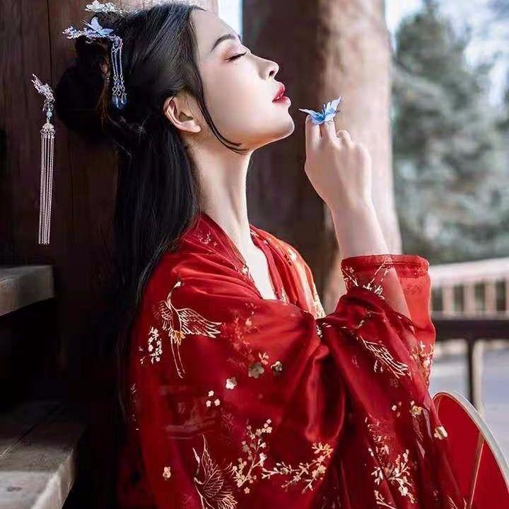 Crane original Hanfu authentic female Chinese style Chinese traditional Han clothing student chest-h