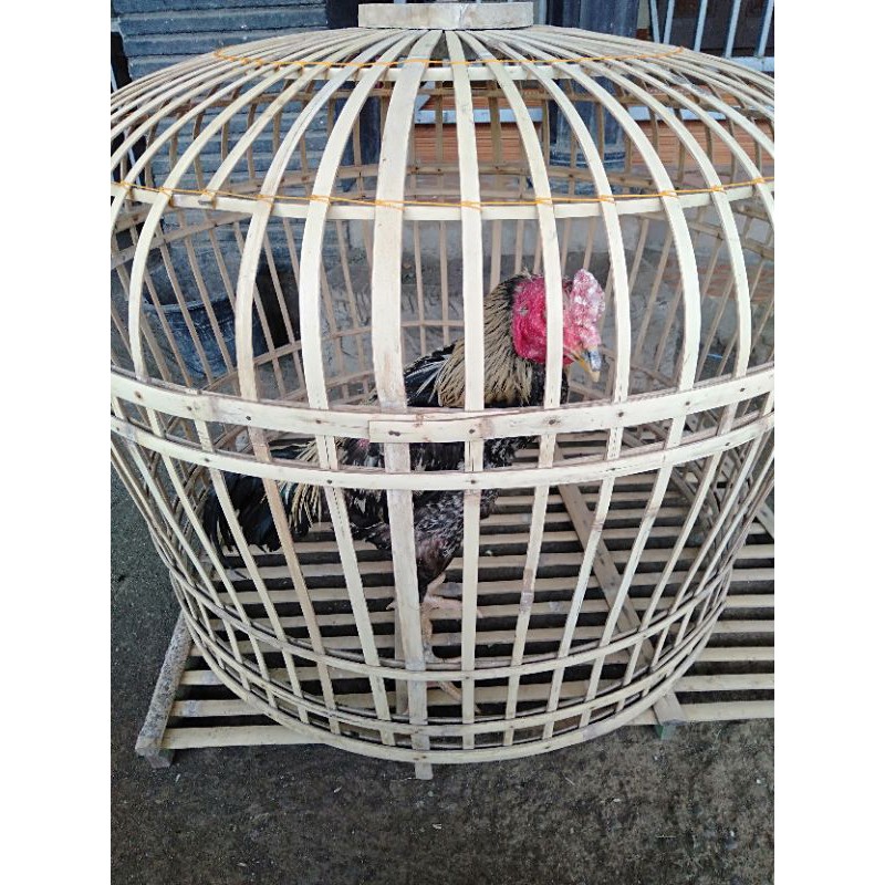 

Ayambangkok