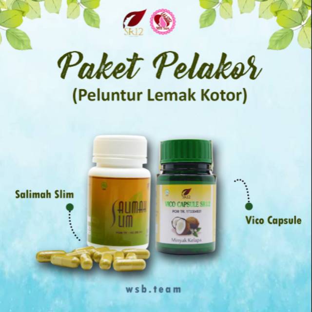 Paket pelakor SR12