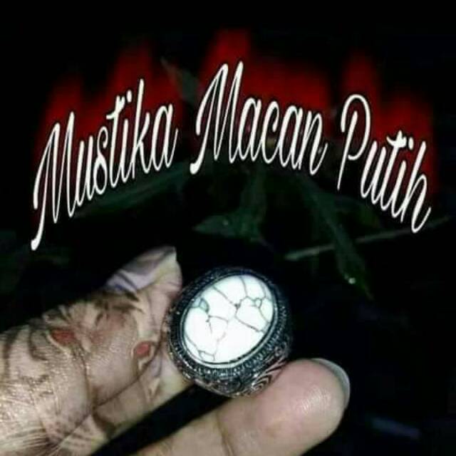 

Mustika macan putih