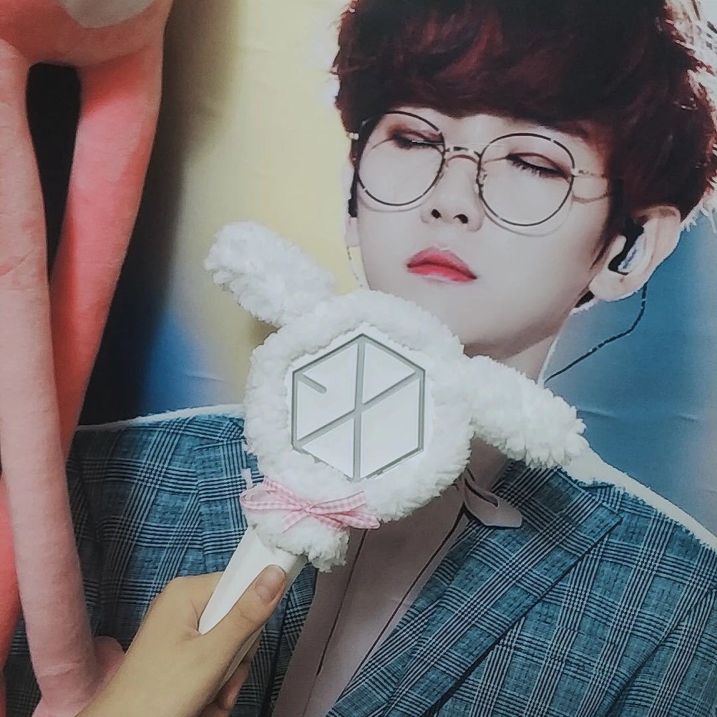 Light stick cove EXO tempat Lightstick EXO Alice Stick Light Set Plush Light Protection Cover
