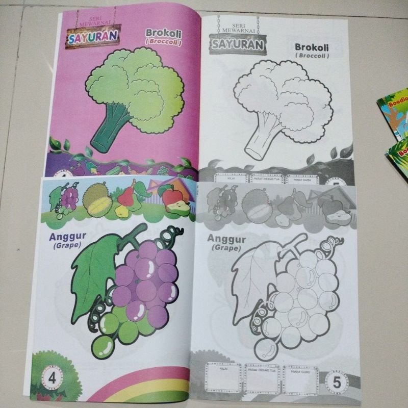 buku mewarnai lebar boediono 24 halaman full colour 20x29cm
