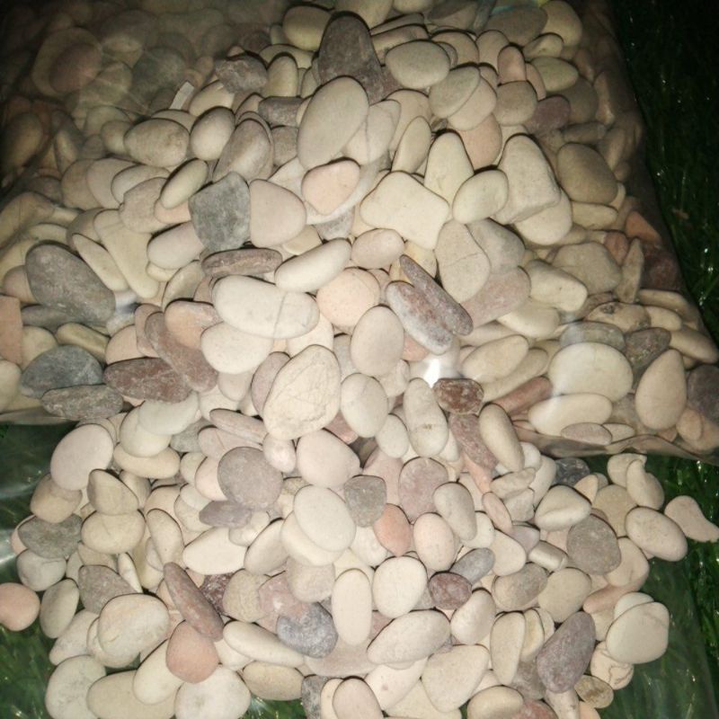 batu coral dekorasi taman dan hiasan akuarium 500 gram