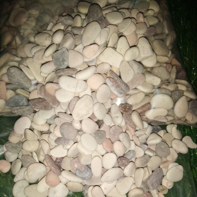 batu coral dekorasi taman dan hiasan akuarium 500 gram