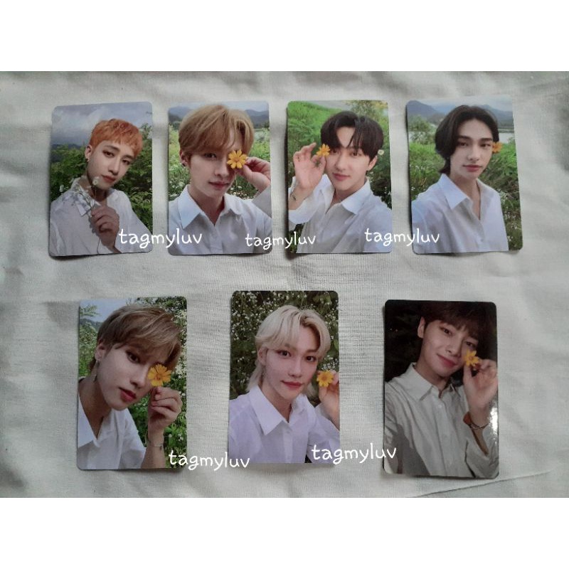 PC LIMITED STRAY KIDS NOEASY
