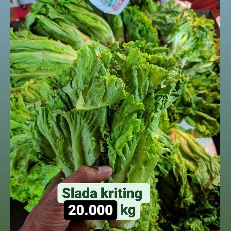 

Slada kriting/air