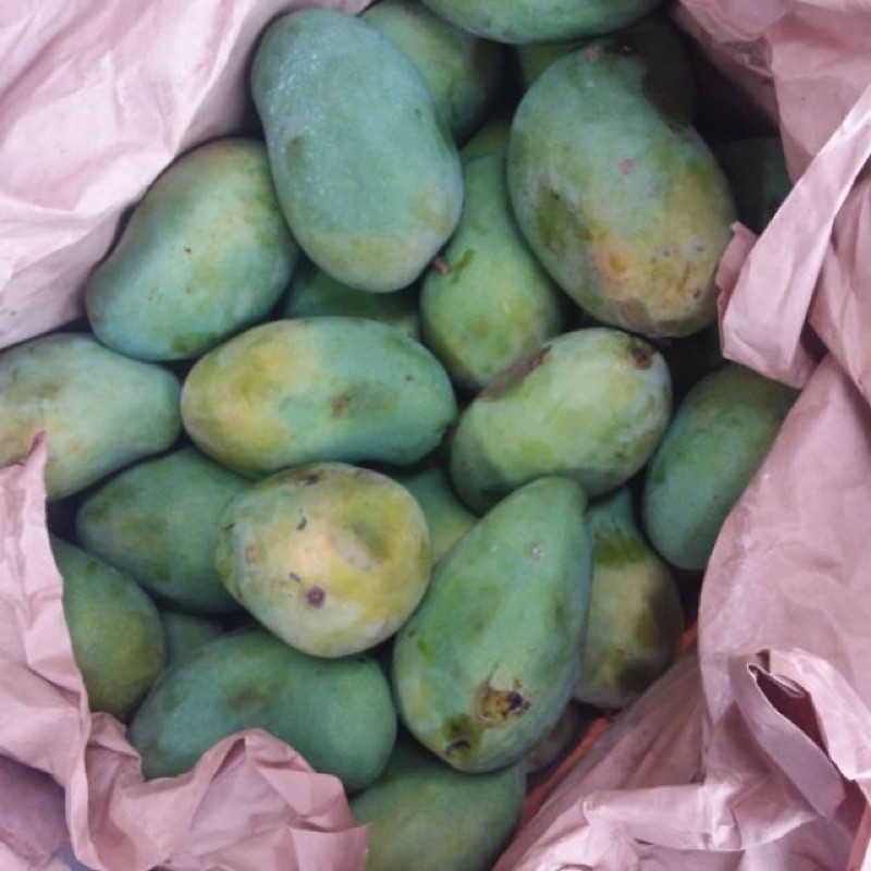 Mangga harumanis 1kg