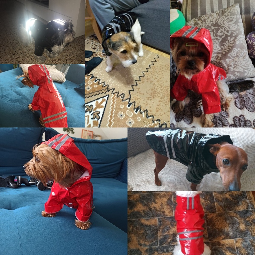 ★〓YUFeiPet〓★ Dog Waterproof Raincoat PU Reflective Stripe Hoody Teddy Pet Clothes Pet Supplies