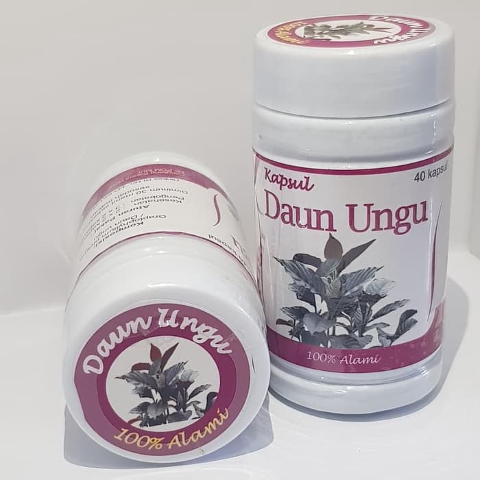 

Daun Ungu Kautsar isi 60kapsul | Herbal ambeien Wasir