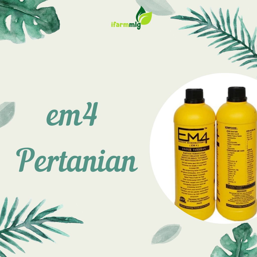 EM4 Pertanian - EM4 Tani - EM4 Kuning - Pupuk Menyuburkan Tanah - Pupuk Menggemburkan Tanah