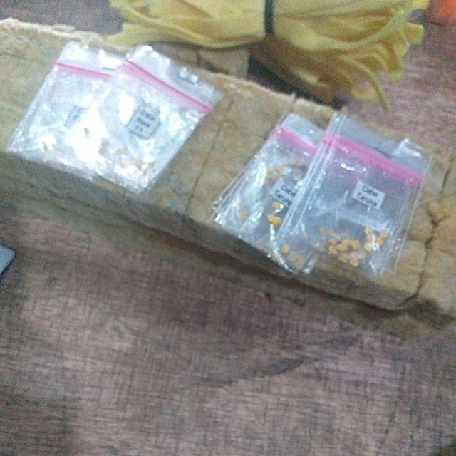 Cb2/5 - Benih Biji Bibit Unggul Seribuan Ecer Repack Cabe Rawit Cabe Bara Cabe Taruna Panah Merah