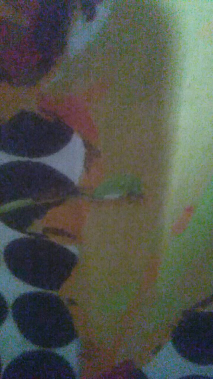 Termurah!!!couple Keluarga/ Couple Batik Keluarga/batik 2525/couple Batik Anak/kemeja Batik Anak