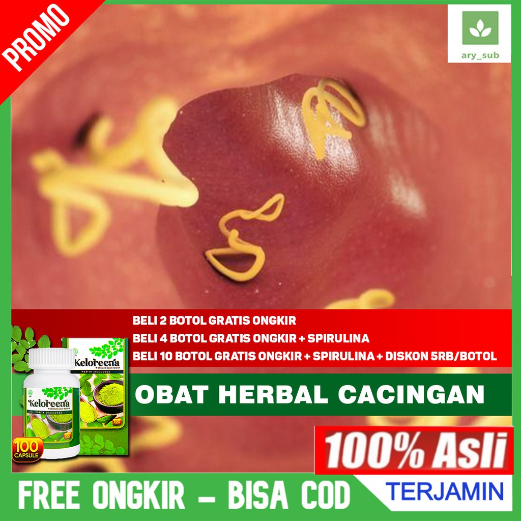 Obat Cacingan - Cacing Kremi - Cacing Pipih - Cacing Tambang - Cacing Gelang Keloreena Kapsul Alami