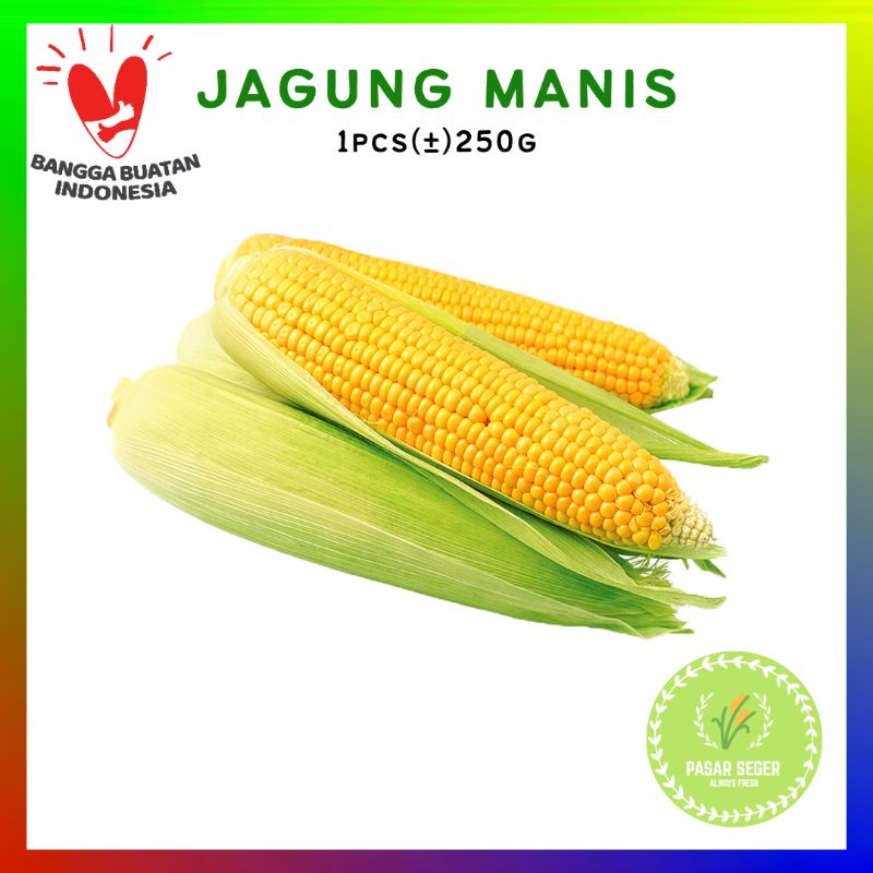 

JAGUNG SAYUR [1buah, 250g]
