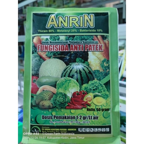 Anrin Fungisida Anti Bulai Jagung Anti Patek Anti Potong Leher Padi Kemasan 50gr dg 3 Bahan Aktif Original Pabrik