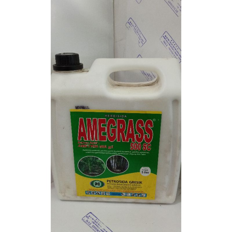 HERBISIDA AMEGRASS 500 SC 5 LITER PEMBASMI GULMA PADA TANAMAN TEBU